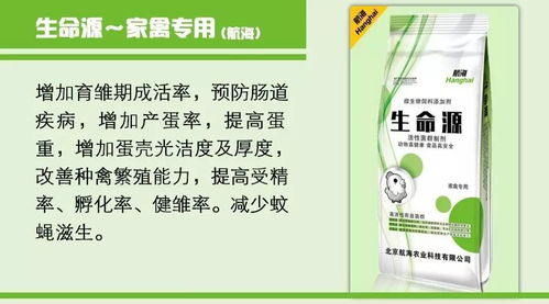 羊群光吃不长肉？饲料成本高、育肥效果差？只需一步，瘤胃棒，牛羊胖！