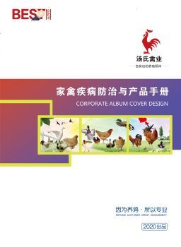 家禽养殖电子画册 免费制作工具与翻页电子书软件全攻略